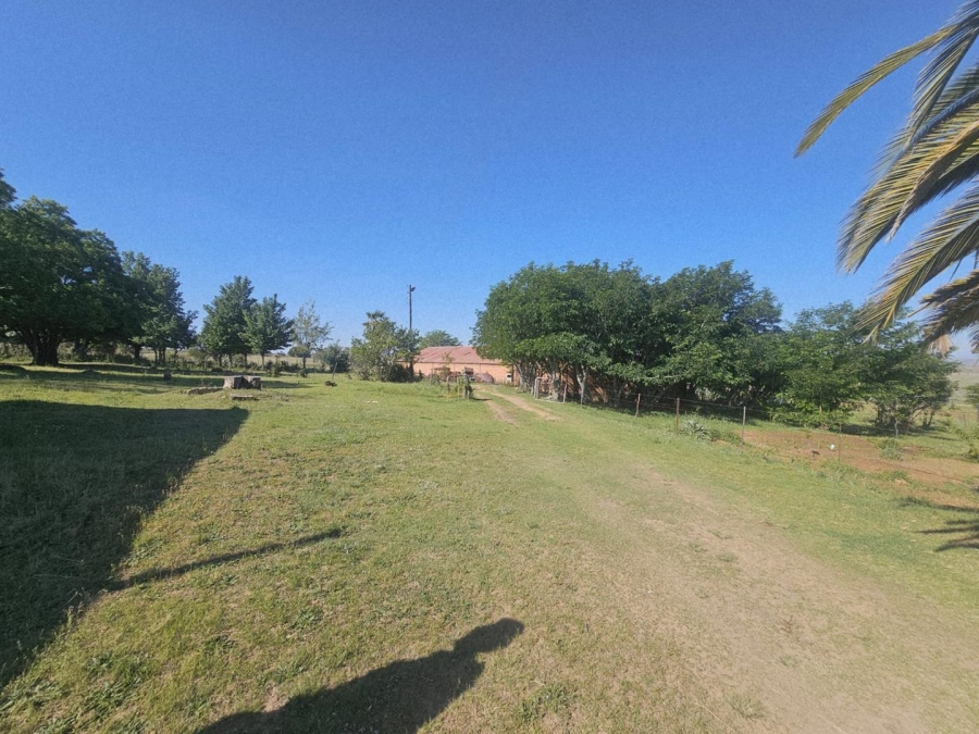 17 Bedroom Property for Sale in Ladybrand Free State